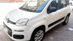 Bianco Usata 2014 Fiat Panda 4x4 Due volumi | 2999 € (Super prezzo)
