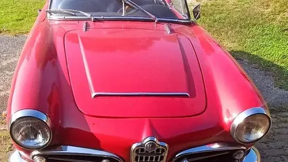 Usata Alfa Romeo Giulia Spider 1960 Cabrio