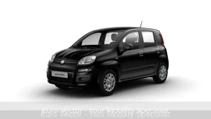 Usata Fiat Panda Icon 70 CV (51 kW) 2024 Nero Utilitaria