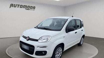 Usata Fiat Panda 80 CV (58 kW) 2018 Bianco Berlina
