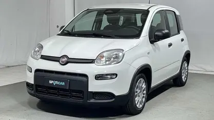 Usata Fiat Panda S 69 CV (50 kW) 2024 Bianco Utilitaria