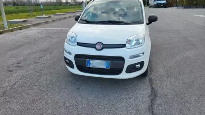 Usata Fiat Panda 69 CV (50 kW) 2012 Bianco Utilitaria