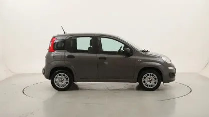 Usata Fiat Panda Easy 69 CV (50 kW) 2021 Antraciteantracite Utilitaria