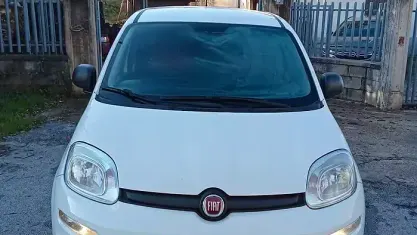 Usata Fiat Panda 80 CV (58 kW) 2015 Bianco Utilitaria