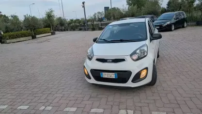 Usata Kia Picanto 69 CV (50 kW) 2013 Bianco Utilitaria