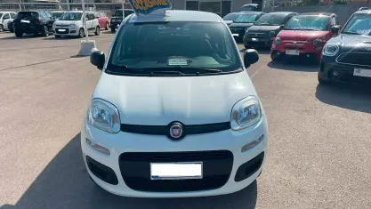 Usata Fiat Panda Easy 71 CV (52 kW) 2019 Bianco Utilitaria