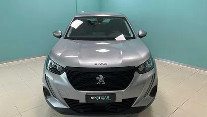 Grigio(met.) Usata 2020 Peugeot 2008 Active SUV | 16.900 € (Molto cara)