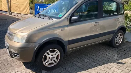 Usata Fiat Panda 4x4 Climbing 69 CV (50 kW) 2008 Marrone Utilitaria