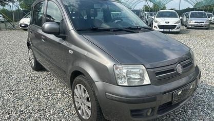 Usata Fiat Panda Dynamic 70 CV (51 kW) 2010 Grigio Utilitaria