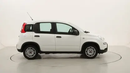 Usata Fiat Panda 70 CV (51 kW) 2024 Biancobianco Utilitaria