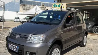 Usata Fiat Panda 4x4 Climbing 69 CV (50 kW) 2011 Grigio Utilitaria