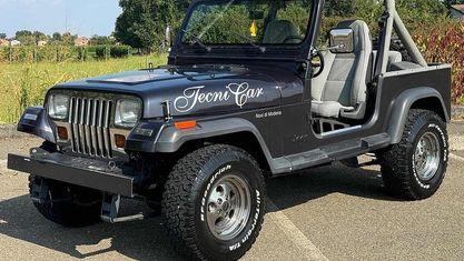 Usata Jeep Wrangler 185 CV (136 kW) 1992 Grigio SUV