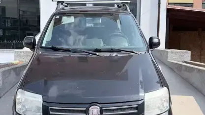 Usata Fiat Panda Dynamic 60 CV (44 kW) 2010 Nero Utilitaria
