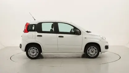 Usata Fiat Panda Easy 69 CV (50 kW) 2019 Utilitaria