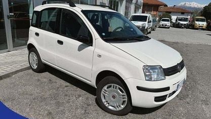 Usata Fiat Panda 4x4 Climbing 69 CV (50 kW) 2009 Bianco Utilitaria