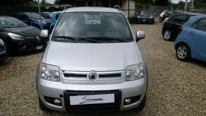 Usata Fiat Panda 4x4 Climbing 75 CV (55 kW) 2010 Grigio Utilitaria