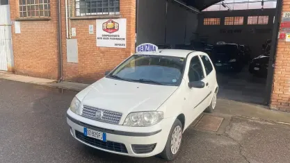 Usata Fiat Punto Active 60 CV (44 kW) 2009 Bianco Utilitaria