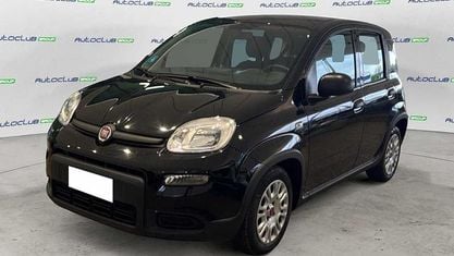 Käytetty Fiat Panda City Life 70 HP (51 kW) 2023 Musta Viistoperä