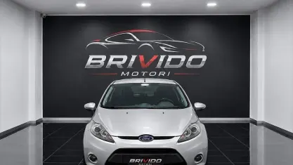Usata Ford Fiesta Titanium 68 CV (50 kW) 2009 Grigio Berlina