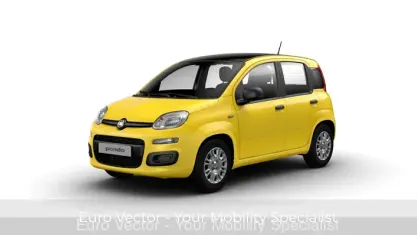 Usata Fiat Panda S 70 CV (51 kW) 2024 Giallo Utilitaria
