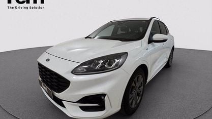 Second-hand Ford Kuga ST-Line 190 CP (139 kW) 2022 Alb SUV
