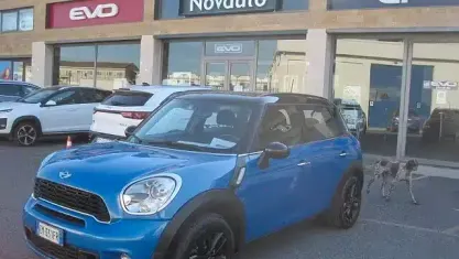 Usata Mini Cooper SD Countryman 143 CV (105 kW) 2012 Blu SUV