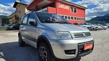 Usata Fiat Panda 4x4 69 CV (50 kW) 2006 Grigio Utilitaria
