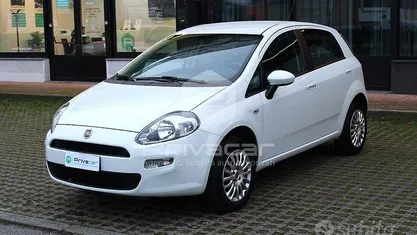 Usata Fiat Punto Street 77 CV (56 kW) 2014 Utilitaria