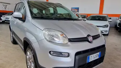 Usata Fiat Panda 4x4 S 75 CV (55 kW) 2014 Grigio Utilitaria
