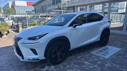 Usata Lexus NX300h 197 CV (144 kW) 2021 Bianco SUV