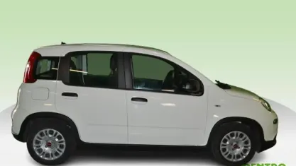 Occasion Fiat Panda 69 ch (50 kW) 2023 Blanc Citadine