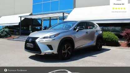 Usata Lexus NX300h Executive Line 155 CV (114 kW) 2020 Sonic titanium SUV
