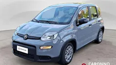Grigio Usata 2023 Fiat Panda S Due volumi | 11.280 € (Buon prezzo)