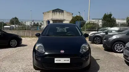 Usata Fiat Punto Lounge 69 CV (50 kW) 2015 Blu Utilitaria