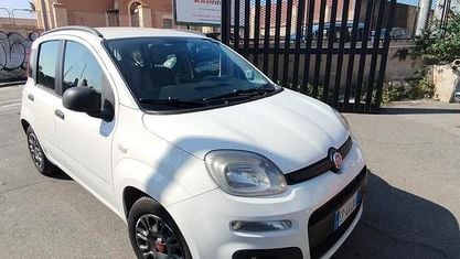 Usata Fiat Panda Easy 75 CV (55 kW) 2013 Bianco Utilitaria