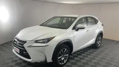 Usata 2017 Lexus NX300h Executive Line SUV | 18.099 € (Ottimo prezzo)