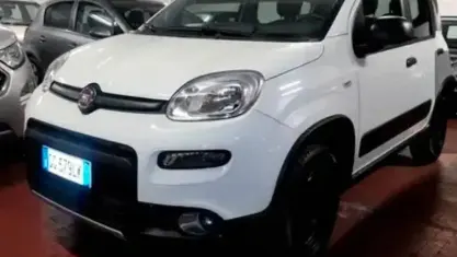 Usata Fiat Panda 4x4 Wild 84 CV (61 kW) 2021 Bianco Utilitaria
