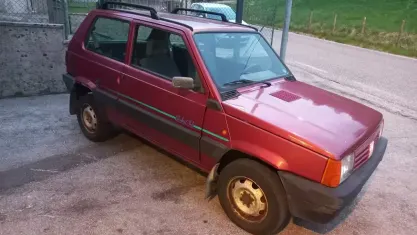 Usata Fiat Panda 4x4 Club 54 CV (39 kW) 1998 Rosso Utilitaria