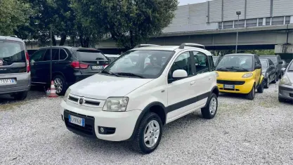 Usata Fiat Panda 4x4 Climbing 75 CV (55 kW) 2011 Bianco Utilitaria