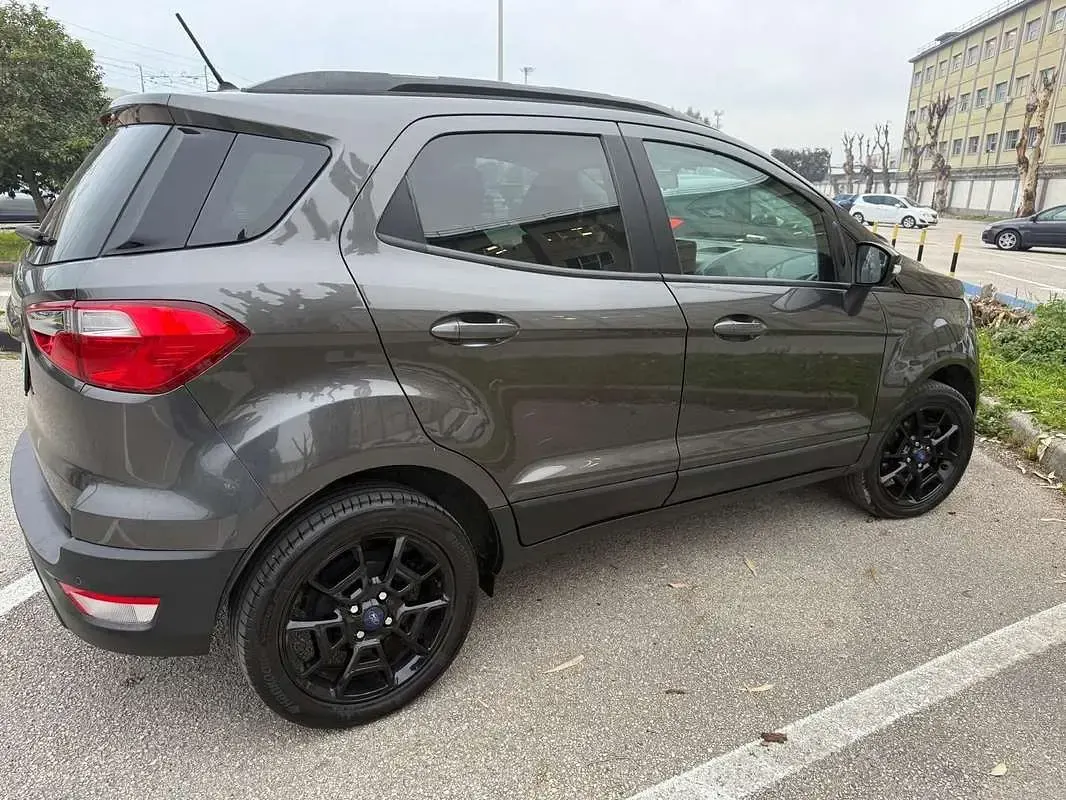 Usata Ford Ecosport Business Edition 99 CV (72 kW) 2019 SUV
