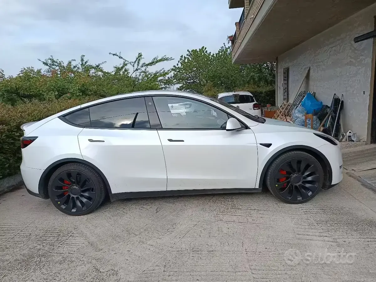 Occasion Tesla Model Y Performance 185 kW (252 ch) 2023 SUV