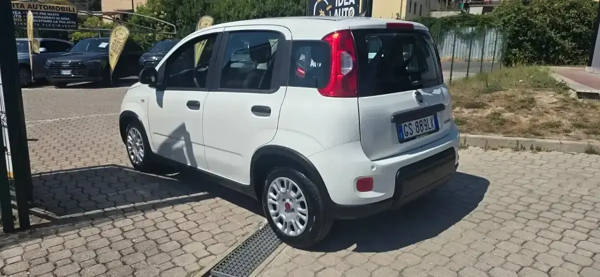 Usata Fiat Panda City Life 69 CV (50 kW) 2023 Utilitaria
