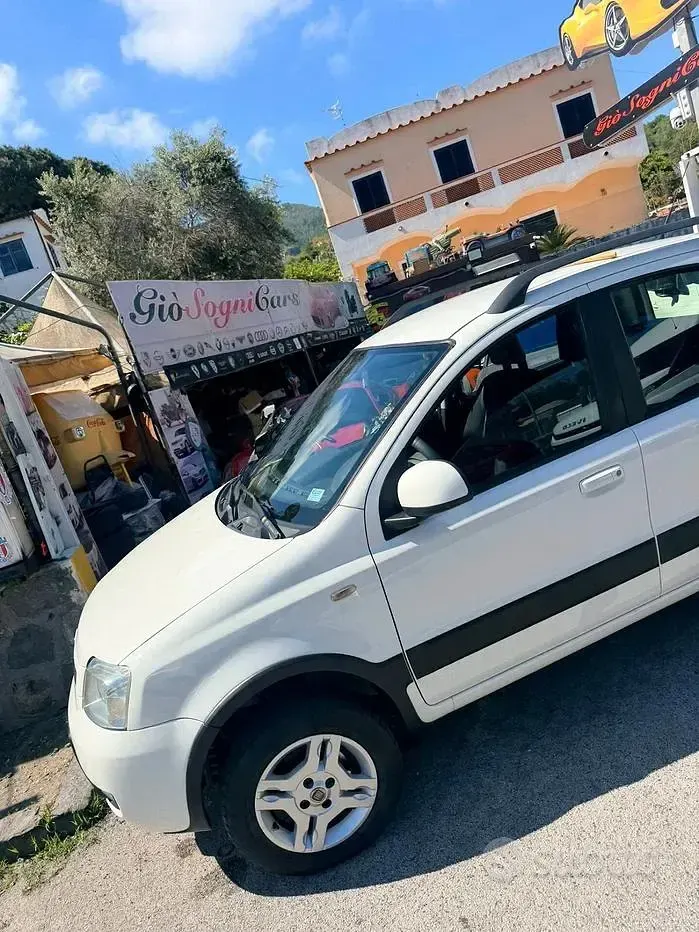 Usata Fiat Panda 4x4 Climbing 75 CV (55 kW) 2011 Bianco Utilitaria