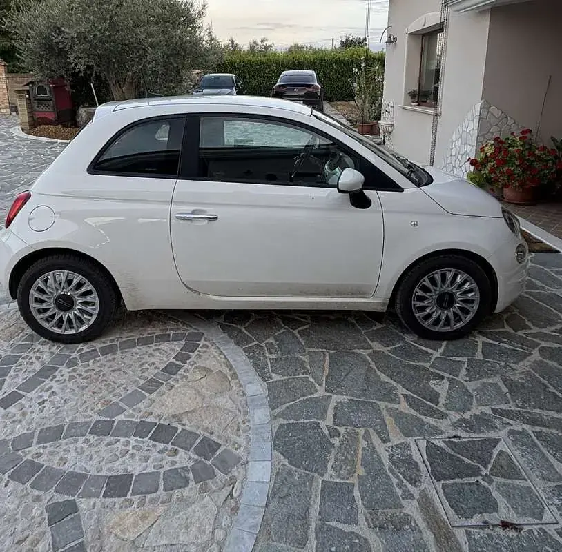 Usata Fiat 500 Dolcevita 69 CV (50 kW) 2021 Utilitaria