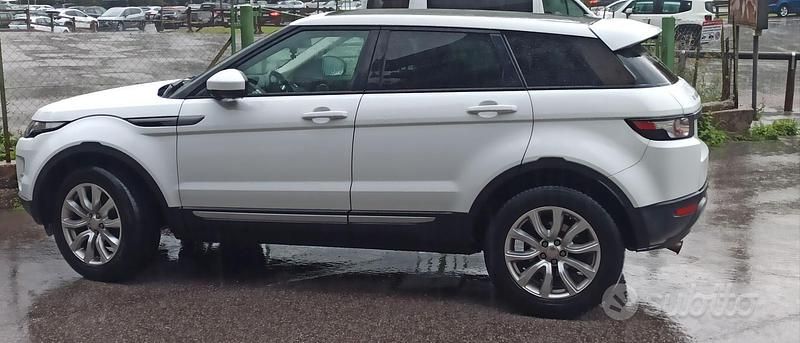 Usata Land Rover Range Rover evoque Pure 150 CV (110 kW) 2014 Bianco SUV