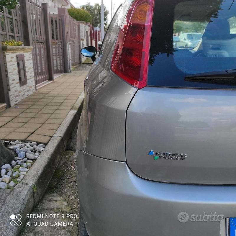 Usata Fiat Punto 2009 Utilitaria