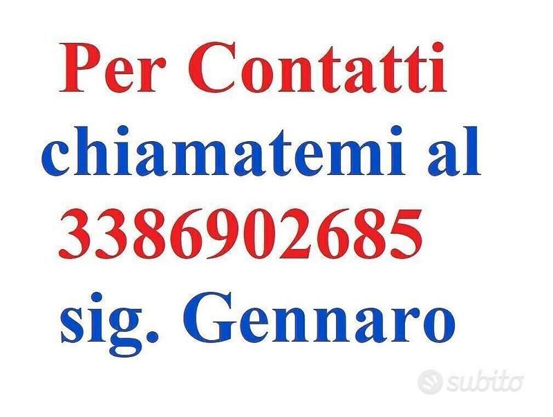 Usata Ford Kuga ST 150 CV (110 kW) 2018 Verde SUV