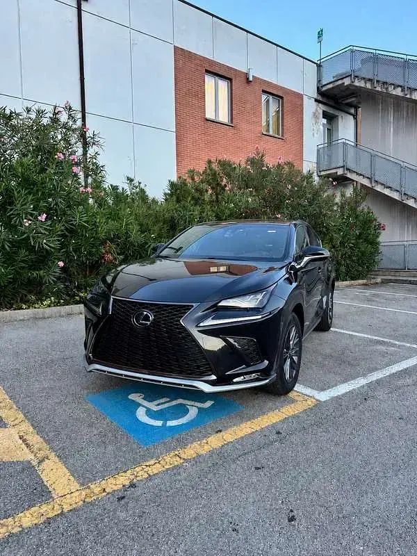 Usata Lexus NX300h Sport Line 152 CV (111 kW) 2019 SUV