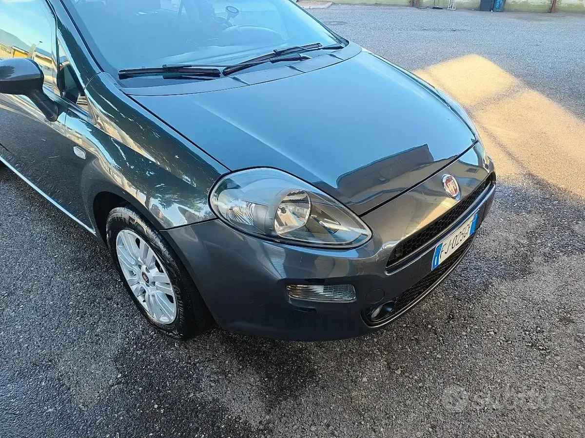 Usata Fiat Punto Evo 95 CV (69 kW) 2017 Grigio Utilitaria