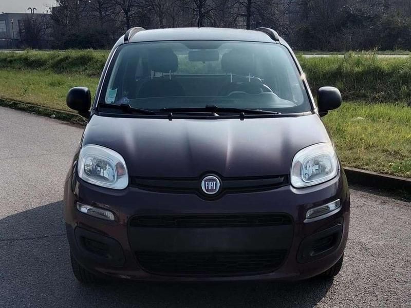 Usata Fiat Panda Easy 69 CV (50 kW) 2012 Viola Utilitaria